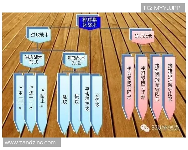 上海排球队的节奏变革引发热议新战术如何改变比赛格局 上海排球队的节奏变革引发热议新战术如何改变比赛格局