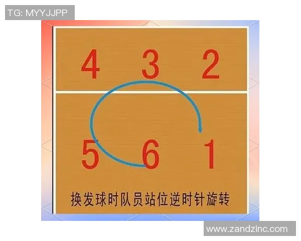 从零基础到高手：全面解析排球速度提升技巧与训练方法