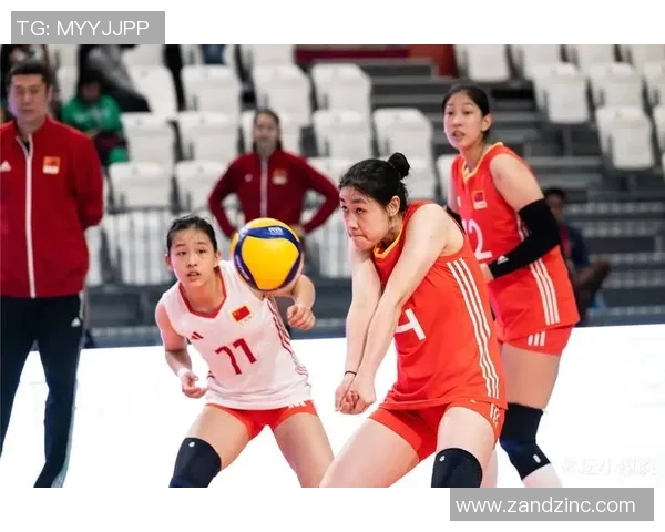 杭州排球队展现卓越团队协作实力荣获全国排球团队协作排名新高