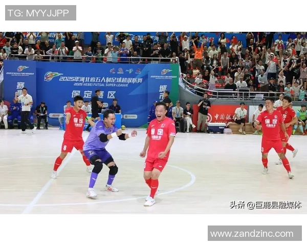 河北酒店足球明星的璀璨之路与背后故事揭秘