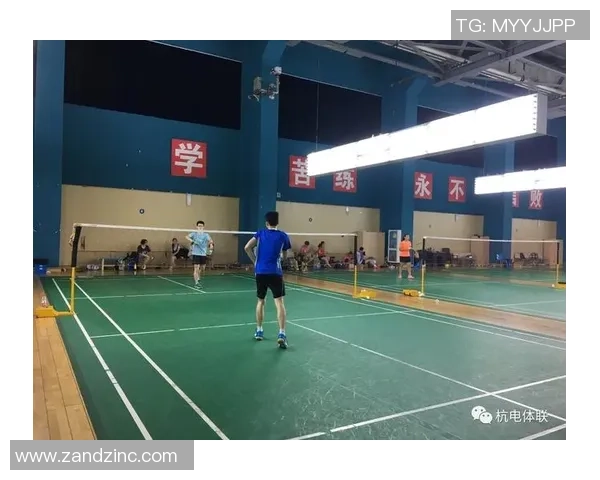 专业解读：南京羽毛球队的整体压制打法