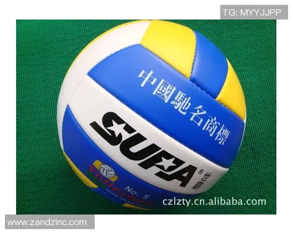 排球装备选购：训练器材推荐