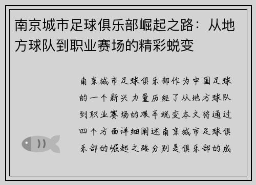 南京城市足球俱乐部崛起之路：从地方球队到职业赛场的精彩蜕变