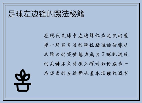 足球左边锋的踢法秘籍
