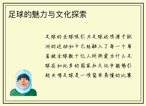 足球的魅力与文化探索