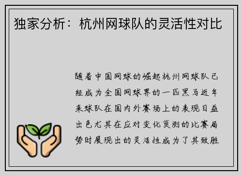 独家分析：杭州网球队的灵活性对比