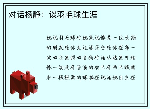 对话杨静：谈羽毛球生涯