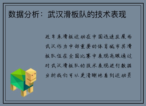 数据分析：武汉滑板队的技术表现