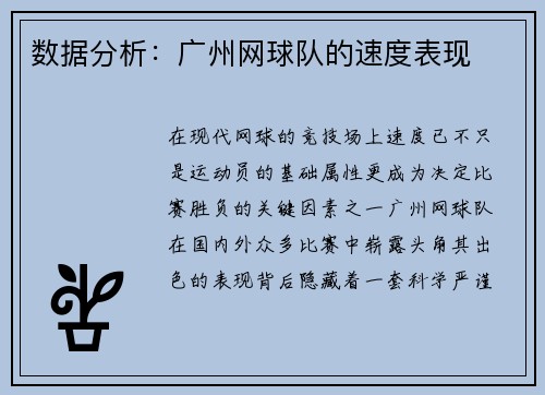 数据分析：广州网球队的速度表现